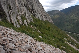 Rocky cliff habitat