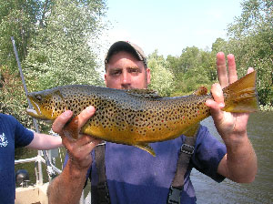 Man holding large brown trout 