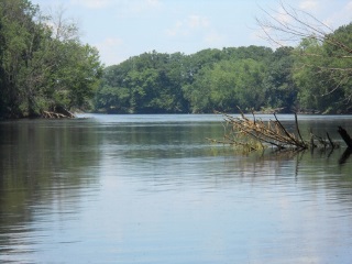 large warm water river habitat